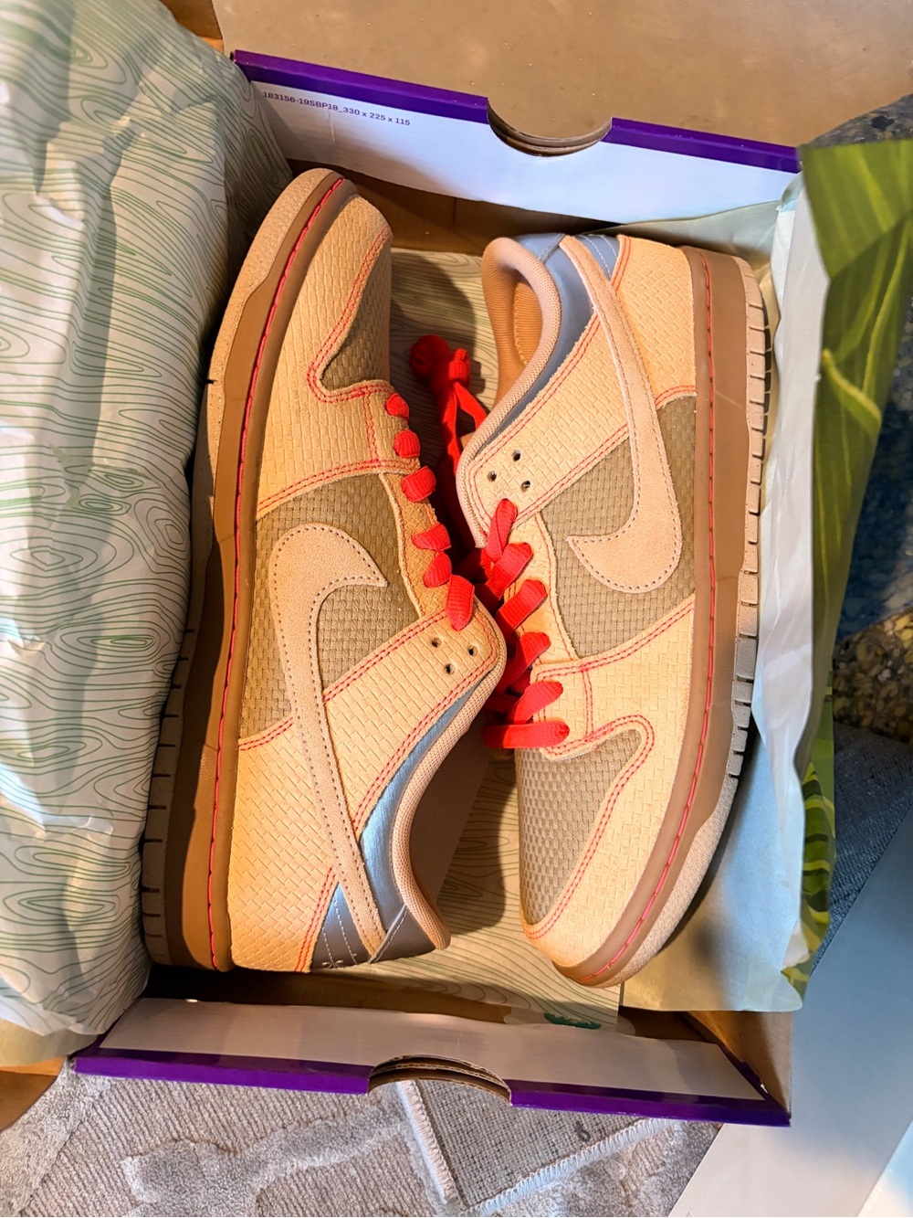 Nike Dunk SB Sum Tom Size 11 Brand New - Picture 3 of 7